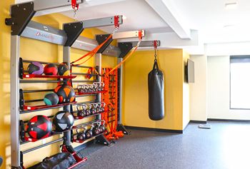 Fitness 